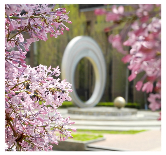 哈尔滨工业大学欧美名校本科直通车