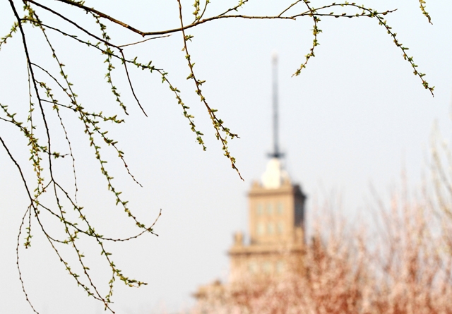 哈尔滨工业大学欧美名校本科直通车