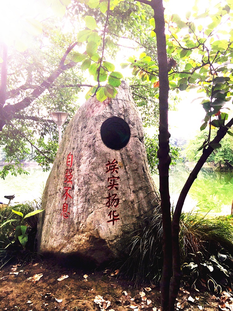 校园风光5