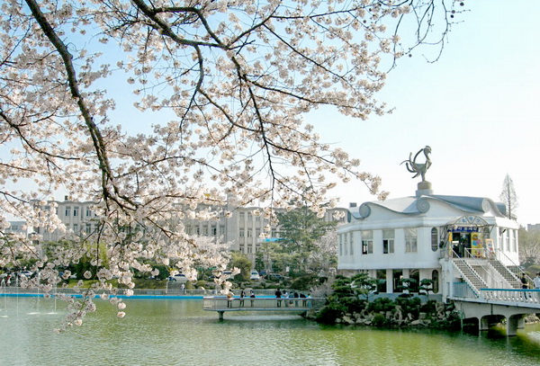 圆光大学
