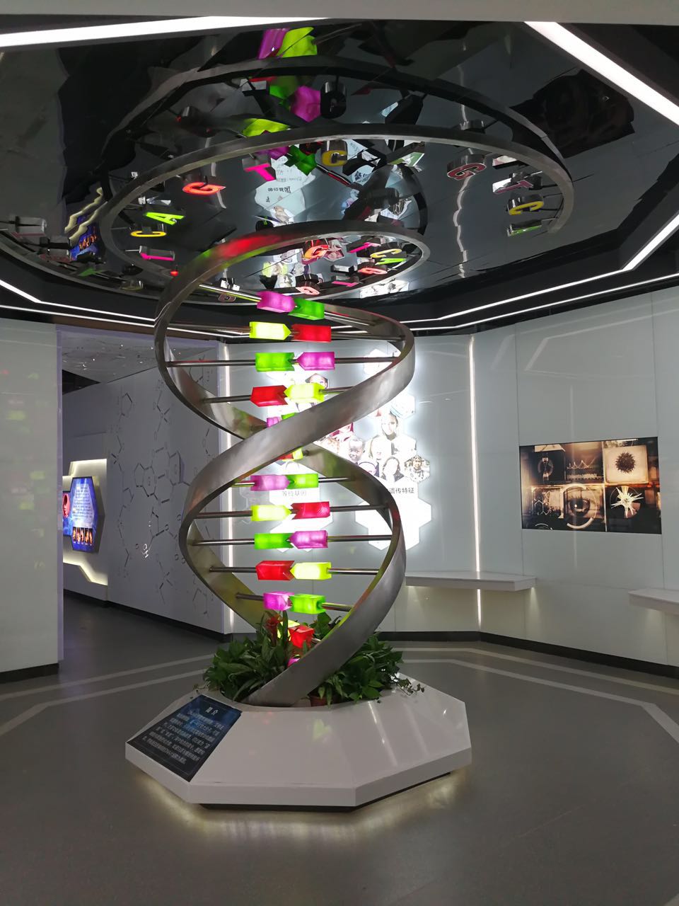 神奇基因夏令营