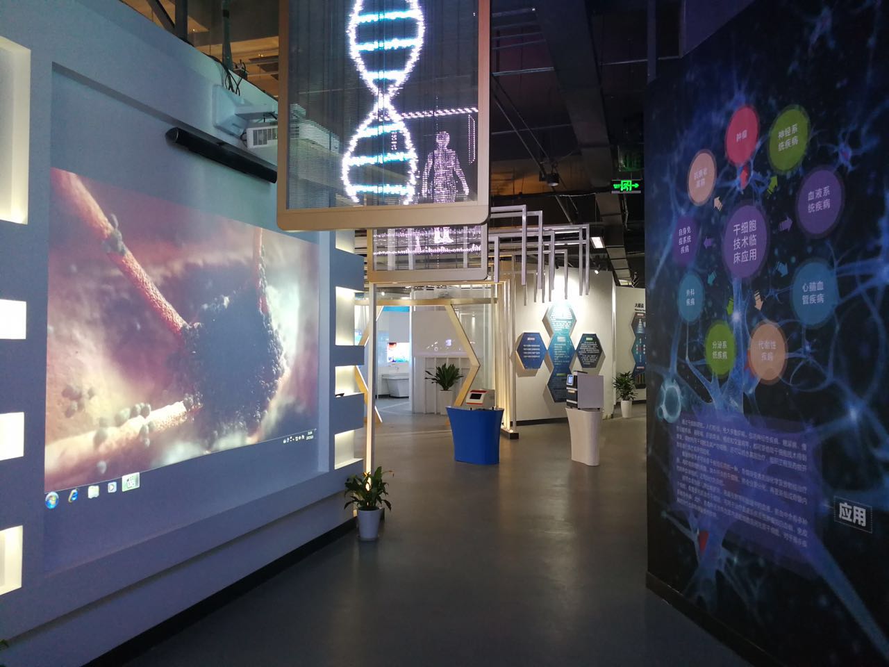 神奇基因夏令营