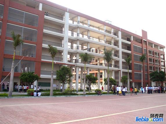 美丽的校园环境