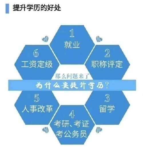 成人教育专业