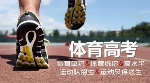体育单招，低分上武体华中师大