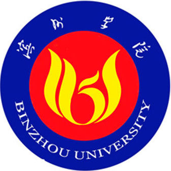 滨州学院排名2021年最新全国排名第379