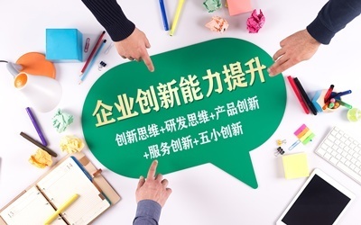 《企业创新能力系统性提升项目》
